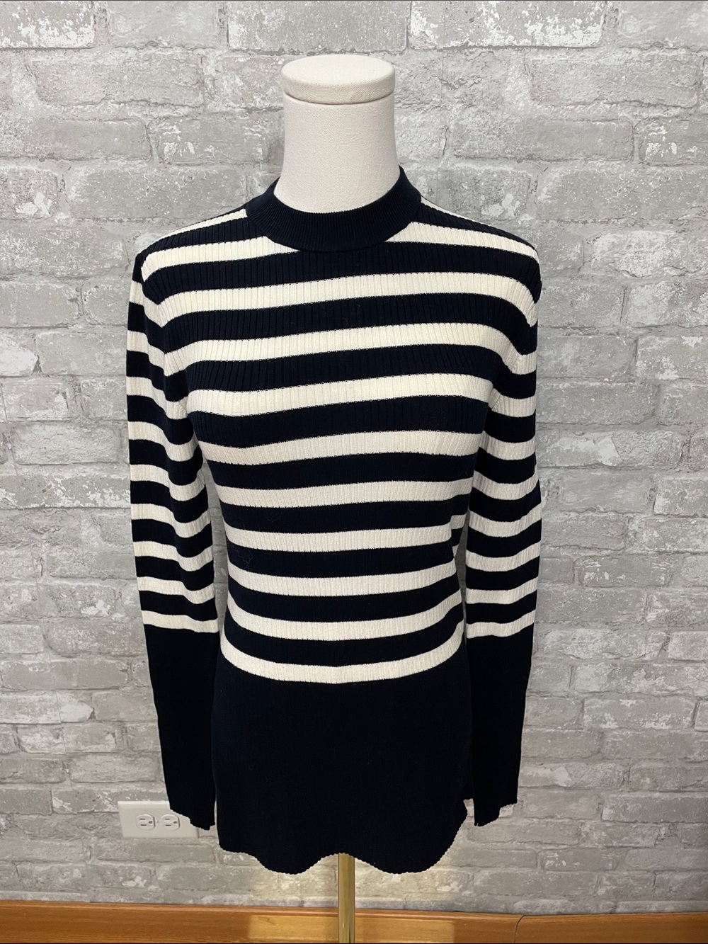 Everlane Navy and White Striped Breton Ribbed Sweater